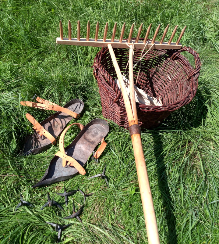 Iron soles, rake and basket for collecting the caltoprs